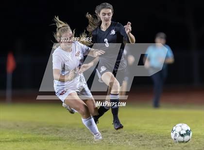 Thumbnail 2 in Manatee @ Braden River photogallery.