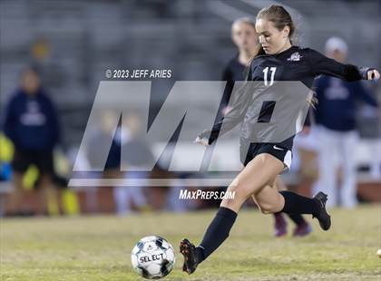 Thumbnail 1 in Manatee @ Braden River photogallery.