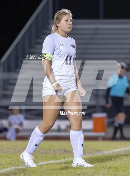 Thumbnail 2 in Manatee @ Braden River photogallery.