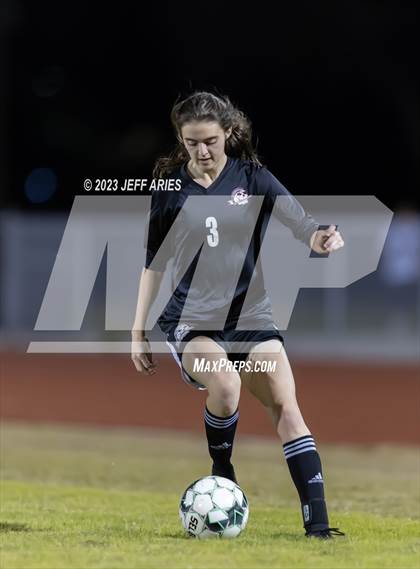 Thumbnail 1 in Manatee @ Braden River photogallery.