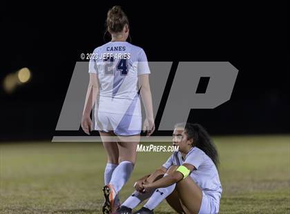 Thumbnail 1 in Manatee @ Braden River photogallery.