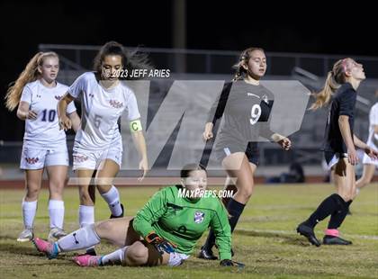 Thumbnail 2 in Manatee @ Braden River photogallery.