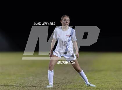 Thumbnail 1 in Manatee @ Braden River photogallery.