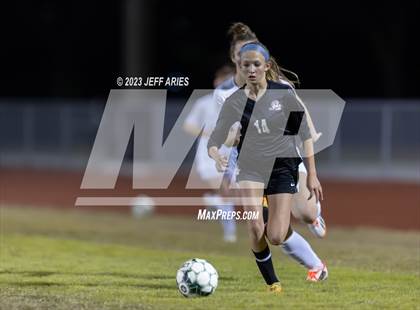Thumbnail 3 in Manatee @ Braden River photogallery.