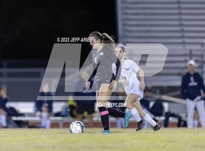 Thumbnail 3 in Manatee @ Braden River photogallery.