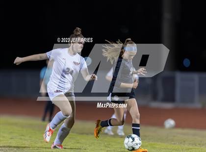 Thumbnail 2 in Manatee @ Braden River photogallery.