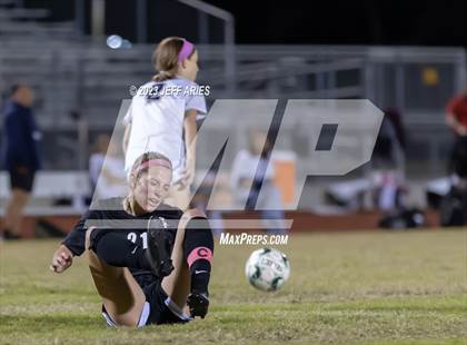 Thumbnail 1 in Manatee @ Braden River photogallery.