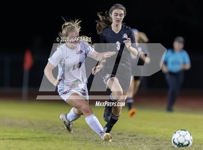 Thumbnail 1 in Manatee @ Braden River photogallery.