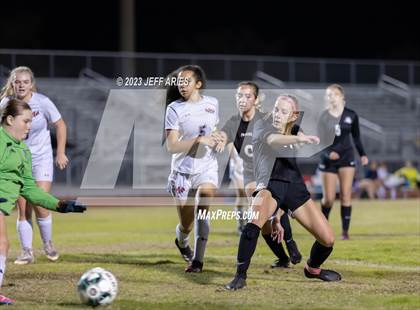 Thumbnail 1 in Manatee @ Braden River photogallery.