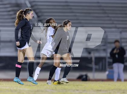 Thumbnail 1 in Manatee @ Braden River photogallery.