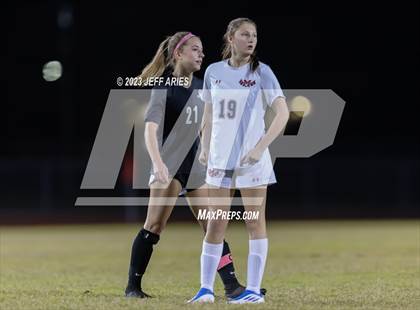 Thumbnail 3 in Manatee @ Braden River photogallery.