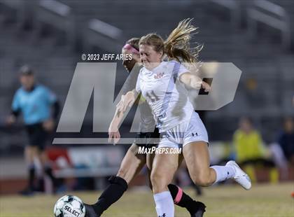 Thumbnail 1 in Manatee @ Braden River photogallery.