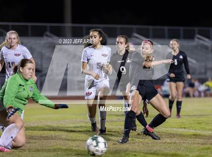 Thumbnail 2 in Manatee @ Braden River photogallery.