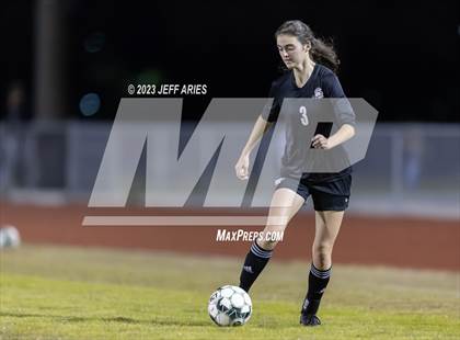 Thumbnail 3 in Manatee @ Braden River photogallery.