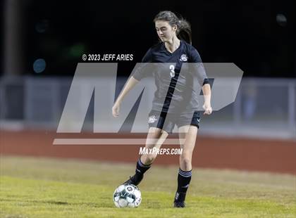 Thumbnail 2 in Manatee @ Braden River photogallery.