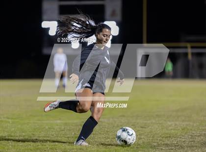 Thumbnail 2 in Manatee @ Braden River photogallery.