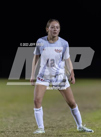 Thumbnail 2 in Manatee @ Braden River photogallery.