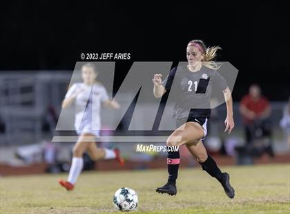 Thumbnail 1 in Manatee @ Braden River photogallery.