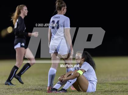 Thumbnail 1 in Manatee @ Braden River photogallery.