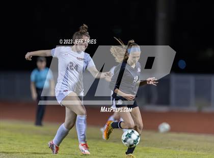 Thumbnail 3 in Manatee @ Braden River photogallery.