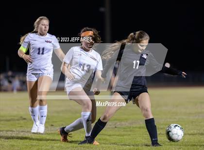 Thumbnail 2 in Manatee @ Braden River photogallery.