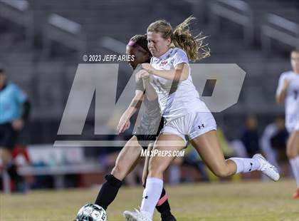 Thumbnail 3 in Manatee @ Braden River photogallery.