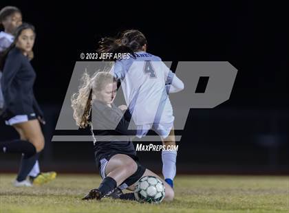 Thumbnail 1 in Manatee @ Braden River photogallery.
