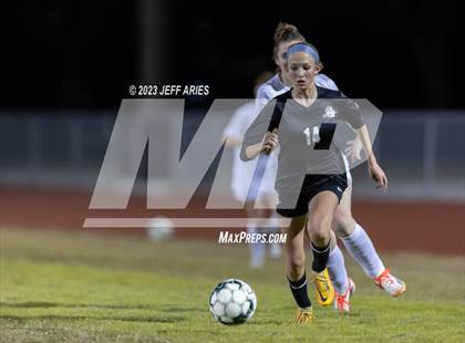 Thumbnail 1 in Manatee @ Braden River photogallery.