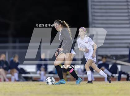 Thumbnail 1 in Manatee @ Braden River photogallery.