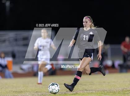 Thumbnail 2 in Manatee @ Braden River photogallery.
