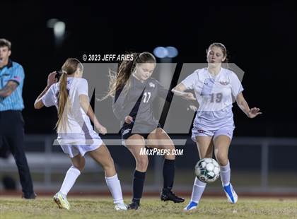 Thumbnail 1 in Manatee @ Braden River photogallery.