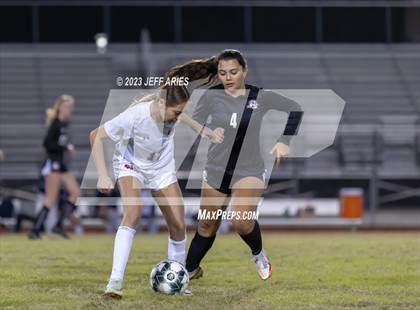 Thumbnail 3 in Manatee @ Braden River photogallery.