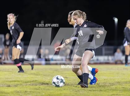 Thumbnail 3 in Manatee @ Braden River photogallery.