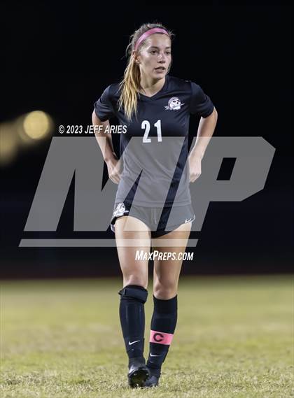 Thumbnail 1 in Manatee @ Braden River photogallery.
