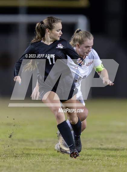 Thumbnail 3 in Manatee @ Braden River photogallery.