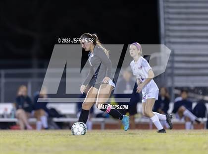 Thumbnail 2 in Manatee @ Braden River photogallery.