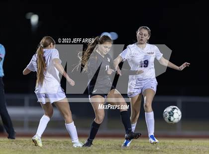 Thumbnail 2 in Manatee @ Braden River photogallery.