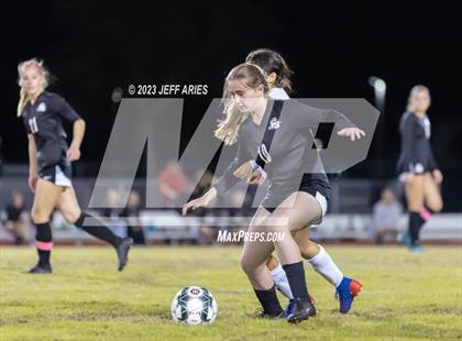Thumbnail 2 in Manatee @ Braden River photogallery.
