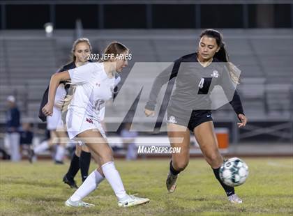 Thumbnail 1 in Manatee @ Braden River photogallery.