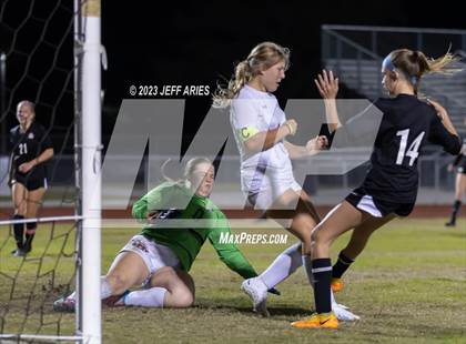 Thumbnail 2 in Manatee @ Braden River photogallery.