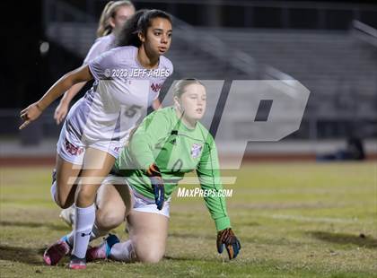 Thumbnail 1 in Manatee @ Braden River photogallery.