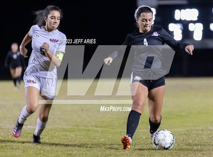 Thumbnail 3 in Manatee @ Braden River photogallery.