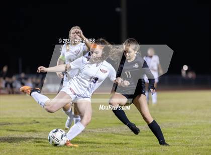 Thumbnail 3 in Manatee @ Braden River photogallery.