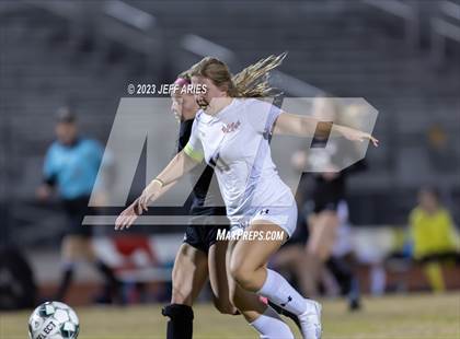 Thumbnail 2 in Manatee @ Braden River photogallery.
