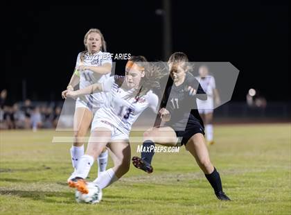 Thumbnail 1 in Manatee @ Braden River photogallery.
