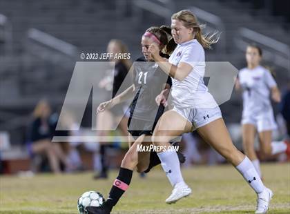 Thumbnail 2 in Manatee @ Braden River photogallery.