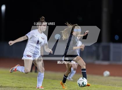 Thumbnail 1 in Manatee @ Braden River photogallery.