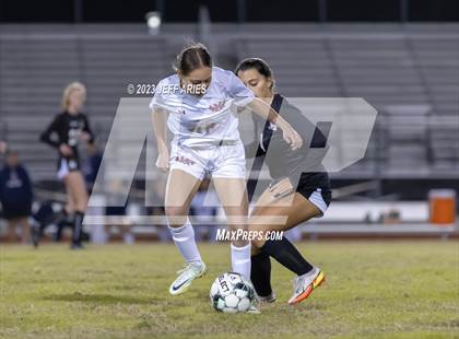 Thumbnail 1 in Manatee @ Braden River photogallery.