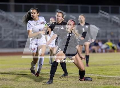 Thumbnail 3 in Manatee @ Braden River photogallery.