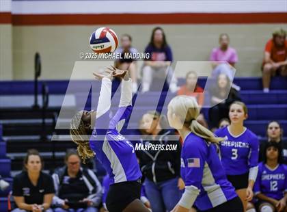 Thumbnail 1 in Shepherd @ Hardin-Jefferson photogallery.